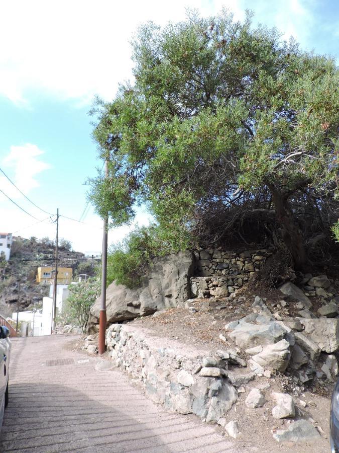 Casa Lilia, en Taganana  Villa Santa Cruz de Tenerife Bagian luar foto